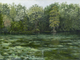 Painting--Acrylic-LandscapeWakulla Springs  Waterway