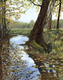 Painting--Acrylic-LandscapeLeaves Falling Along Creek