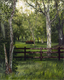 Painting--Acrylic-LandscapeSkull at Bailey Ranch/SOLD