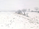 Painting--Acrylic-LandscapeSnow in Molena
