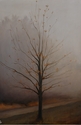 Foggy Morning Oak