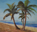 Tropical Palms