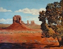 Monument Valley Pinon