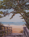 Nokomis Beach