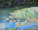Lilly Pads