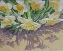 watercolor, dafodils, floral - Realism Painting