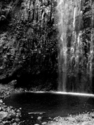 Untitled (thumbnail)