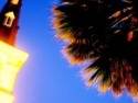 Charleston%20at%20Night (thumbnail)