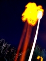 Backyard%20Torch (thumbnail)
