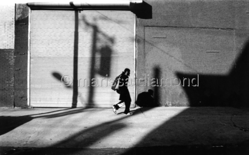Shadow%20Walker (large view)
