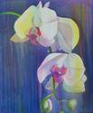Orchids%20in%20Blue (thumbnail)