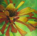 Edge%20of%20Zinnia (thumbnail)
