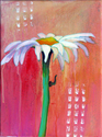 Marita Gentry - Painting Marita Gentry, artist Marita Gentry, botanical painting, botanical, botanical of daisy, daisy, daisy painting by Marita Gentry. white daisy, pink back ground, flower, expressive floral, floral, expressive flower, pink, daisy floral,flower painting, floral painting, liquid acrylics painting, painting of daisy, painting of flower, painting by Marita Gentry, orange, yellow, pink, - Painting