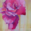Pink%20Rose%20Series (thumbnail)
