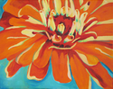 Orange%20Zinnia%20 (thumbnail)