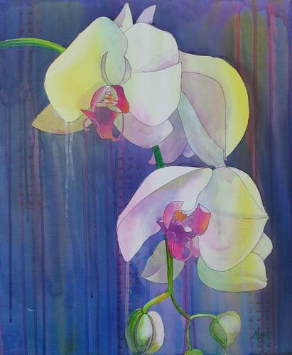 Orchids%20in%20Blue (large view)