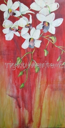 Orchid%20Impressions (large view)