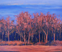 Savannah%20Drive%2C%20Below%20the%20Hill%2C%20Fall%202009 (thumbnail)