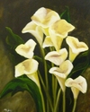 Arum Lillies Arum%20Lillies (thumbnail)