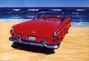 Mark Peterson - 1955 Thunderbird