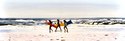Three Girls in Daytona Surf.