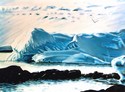 Antarctica 2