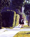 Home from School