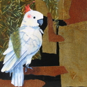 Aviary%20%281%2F12%29 (thumbnail)