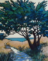 Beach%20Trail (thumbnail)