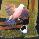 Aviary%20%28%286%2F12%29 (thumbnail)