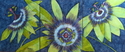Passion%20Flowers (thumbnail)
