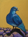 %22Pretty%20Bird%3A%20Pigeon%22 (thumbnail)