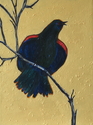 %22Pretty%20Bird%3A%20Red%20Winged%20Blackbird%22 (thumbnail)