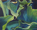 Lilly%20leaves%20 (thumbnail)
