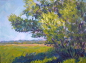 Summer%20Trees (thumbnail)