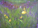 Yellow%20Ladies%20Slippers (thumbnail)