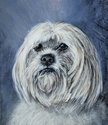 Maggie (thumbnail)