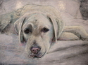 Tanner (thumbnail)