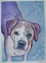 Duchess (thumbnail)