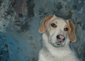 Knutt (thumbnail)