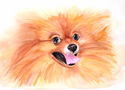 Sweetie (thumbnail)