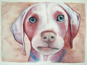 Jackson (thumbnail)