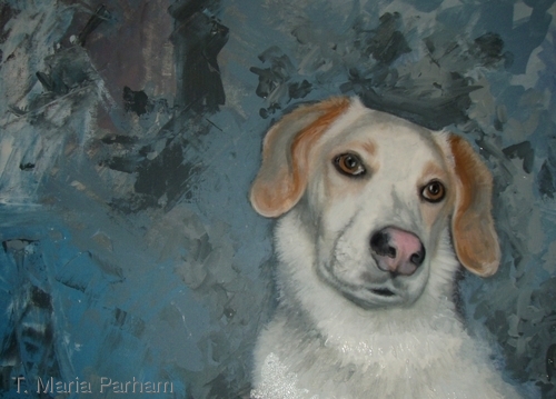 Knutt (large view)