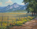 El%20Prado%20Mountains (thumbnail)
