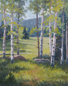 Spring%20Aspen%20Grove (thumbnail)
