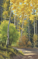 Aspen%20Vista%20Trailhead (thumbnail)