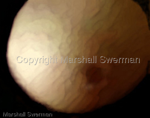 Photography-Celestial Object #21