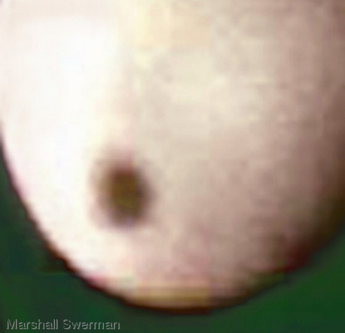 Photography-Celestial Object  #20