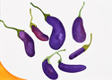 Painting-Eggplants