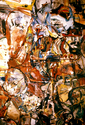 Untitled%20-%201973 (thumbnail)